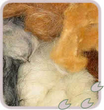 Coloured Fleece